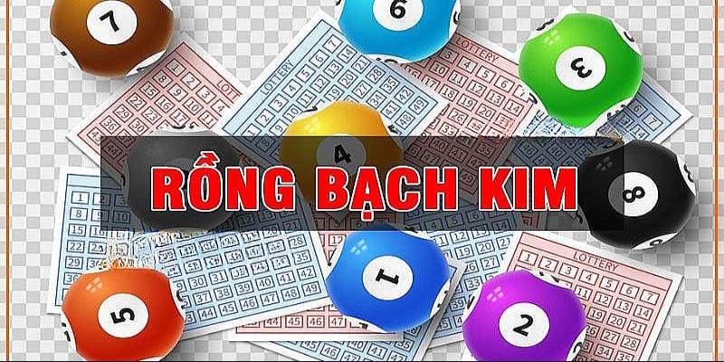 Tham khảo thông tin từ QH88 để chọn cầu rồng bạch kim chính xác 100